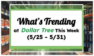 Whats Trending at Dollar Tree This Week (5/25 - 5/31)