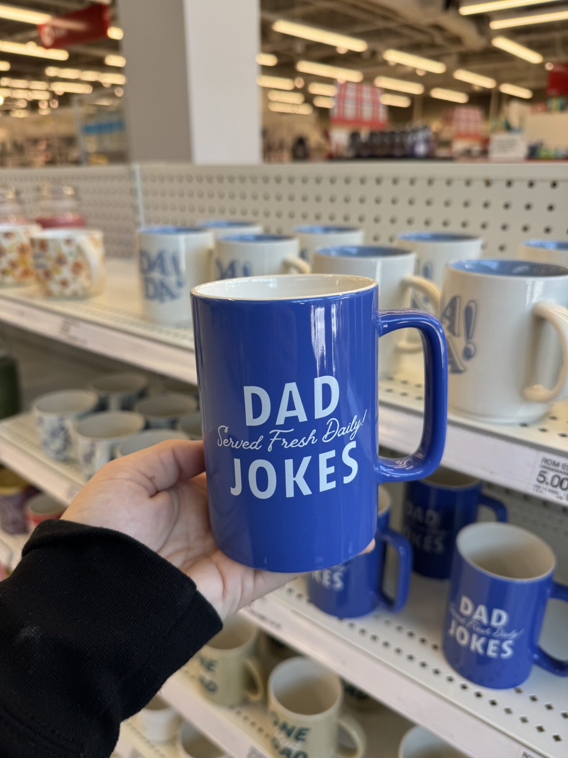 14oz Dad Jokes Tall Can Mug Blue - Room Essentials™ - in store