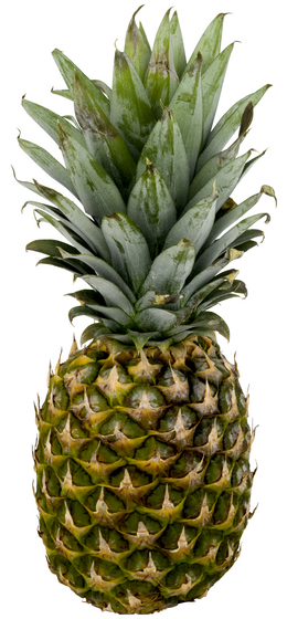 Whole Golden Pineapple