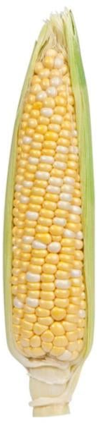 Untrimmed Sweet Corn