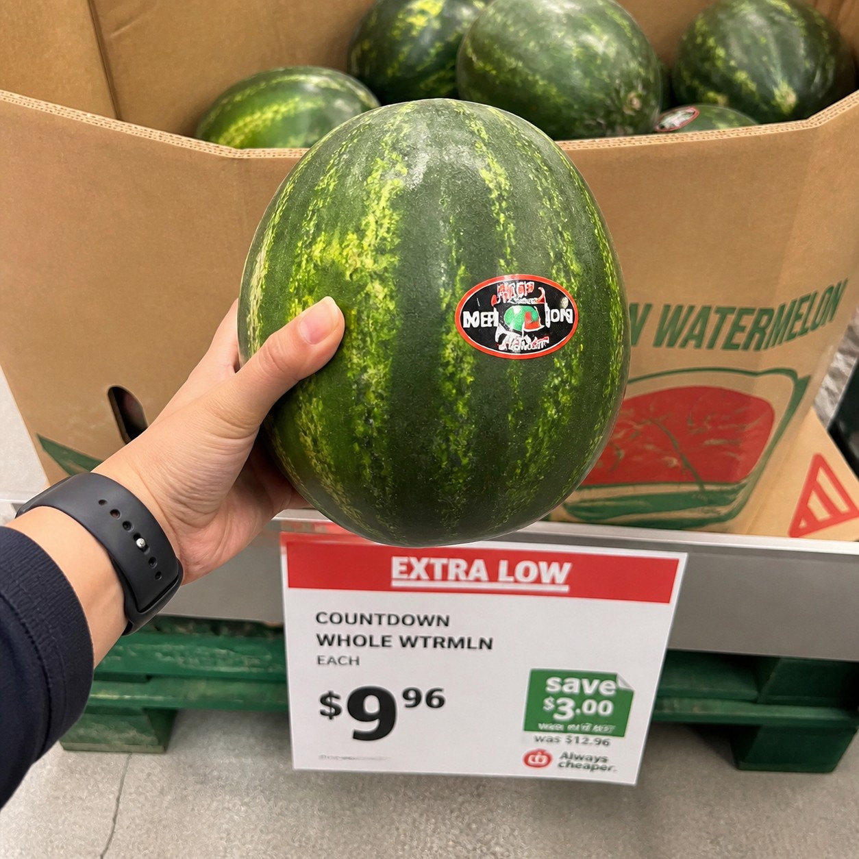SEEDLESS WATERMELON