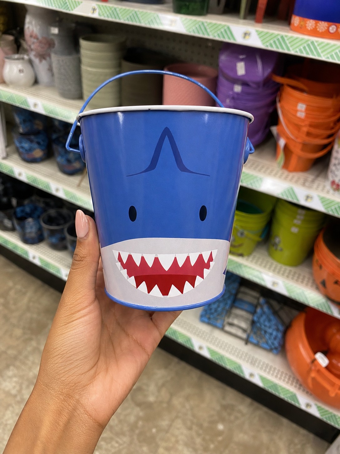 Shark Bucket