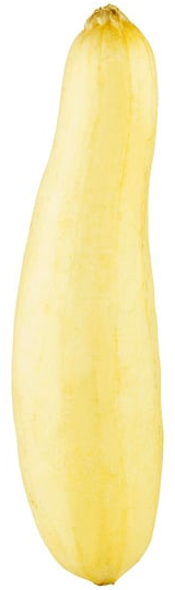 Yellow Squash