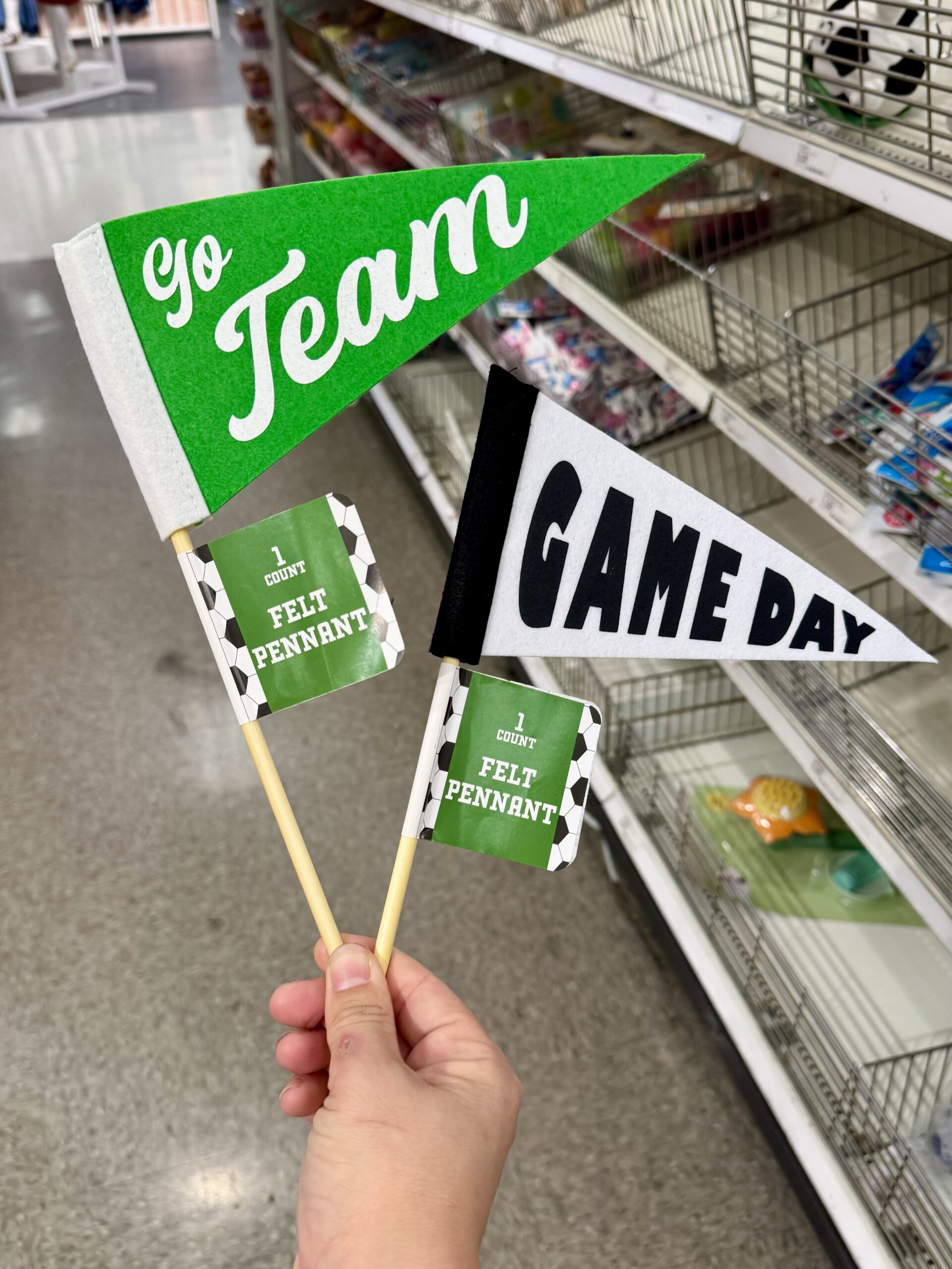 Felt Pennant - in store