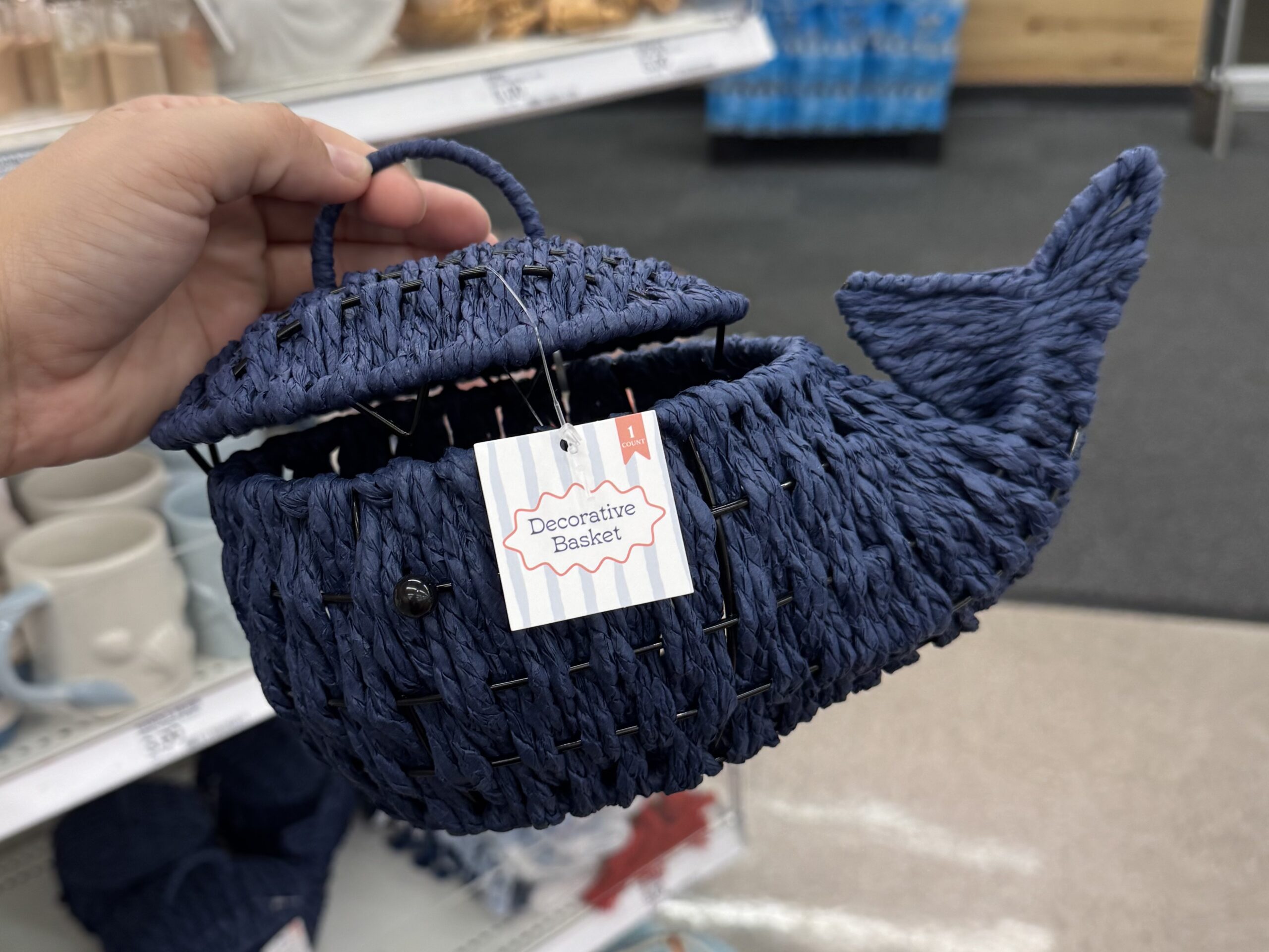 Decorative Basket - in store