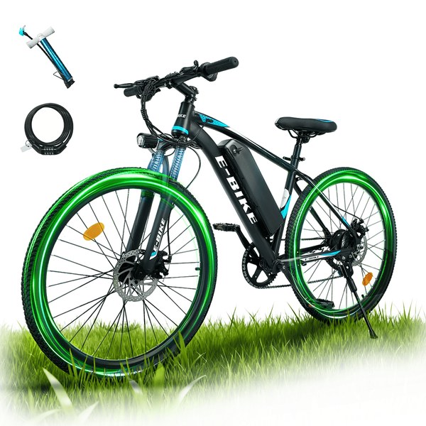 Xkjqta 750W Electric Bike