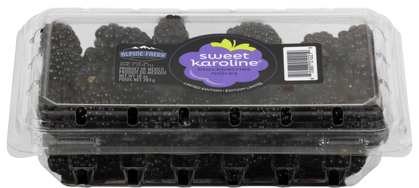 Alpine Fresh Sweet Karoline Blackberries