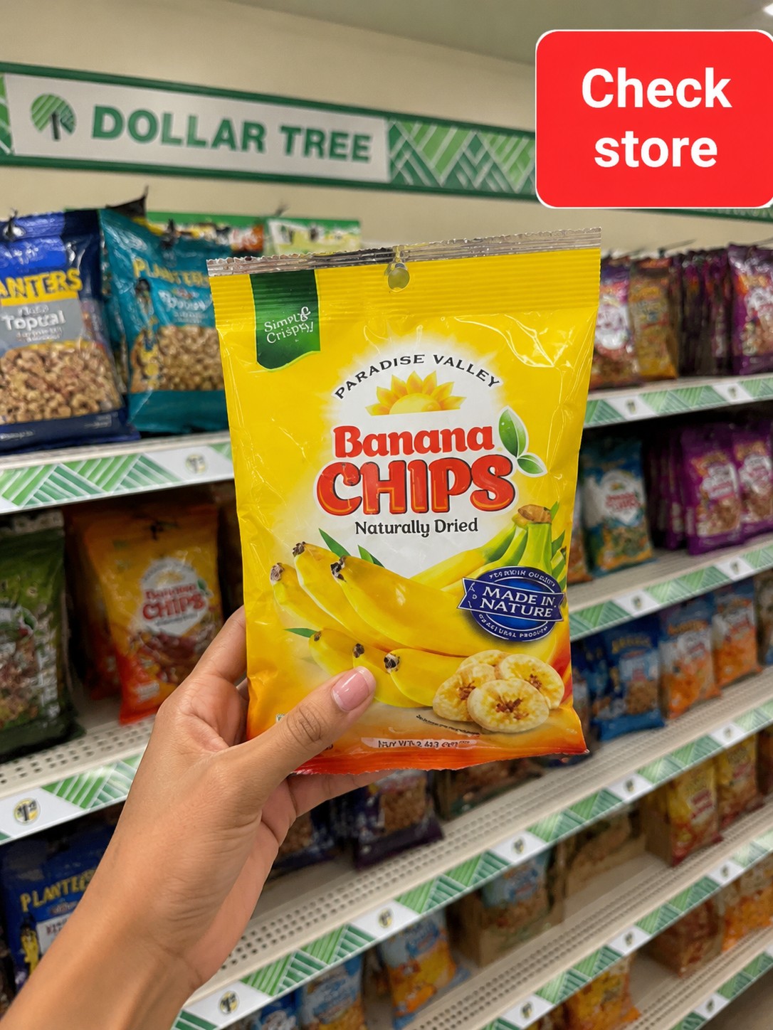 Paradise Valley Banana Chips Naturally Dried