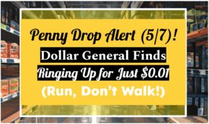 Penny Drop Alert (5/7)! Dollar General Finds Ringing Up for Just $0.01 (Run, Don’t Walk!)
