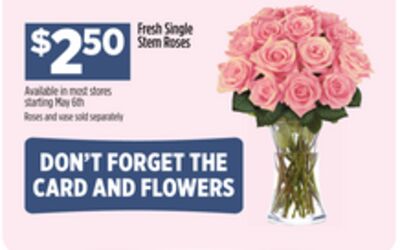 Fresh Single Stem Roses