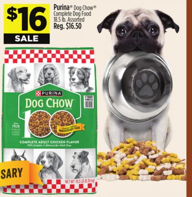 Purina® Dog Chow® Complete Dog Food
