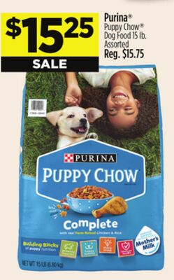 Purina® Puppy Chow® Dog Food