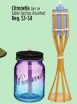 Citronella Jars or Table Torches