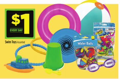 Swim Toys