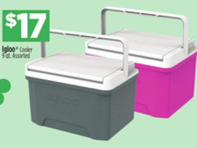Igloo® Cooler