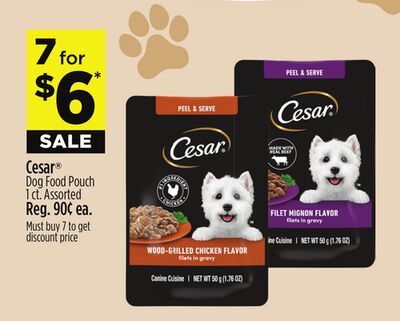 Cesar® Dog Food Pouch