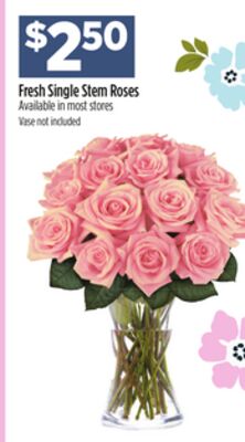 Fresh Single Stem Roses