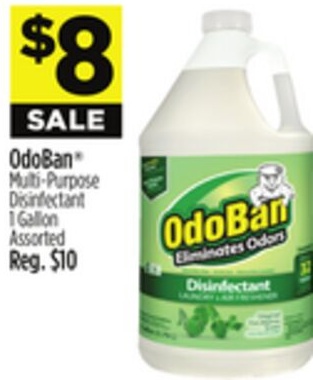 OdoBan® Multi-Purpose Disinfectant