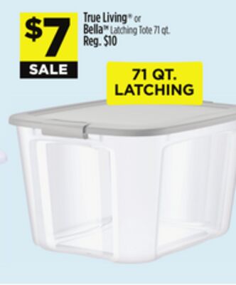 True Living® or Bella™ Latching Tote