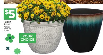Planters