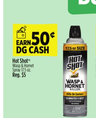 Hot Shot® Wasp & Hornet Spray