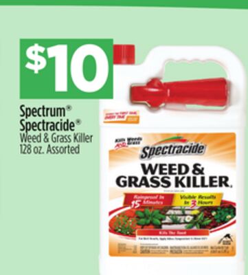 Spectrum® Spectracide® Weed & Grass Killer