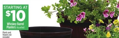 Whiskey Barrel Planters