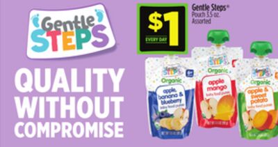 Gentle Steps® Pouch