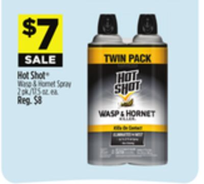Hot Shot® Wasp & Hornet Spray