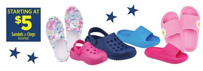 Sandals or Clogs