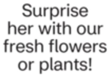 Surprise her with our fresh flowers or plants!