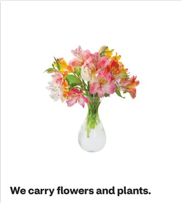 We carry flowers and plants