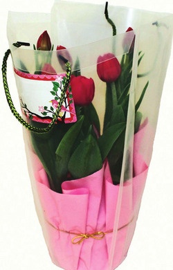 6 Inch Potted Tulips in Gift Bag