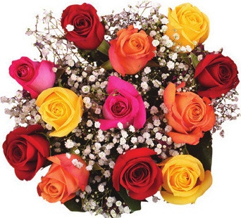 Mother's Day Dozen Roses Bouquet