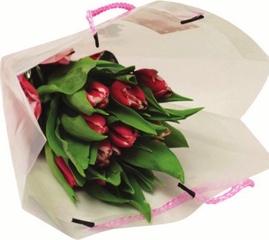 10 Stem Cut Tulips Gift Bag
