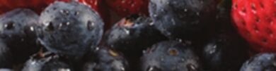 Blueberries