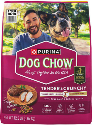 Purina Dog Chow Little Bites or Tender & Crunchy Dry Dog Food
