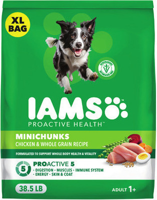IAMS Dry Dog Food