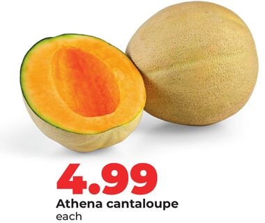 Athena cantaloupe