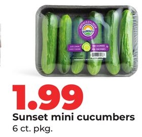 Sunset mini cucumbers
