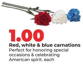 Red, white & blue carnations