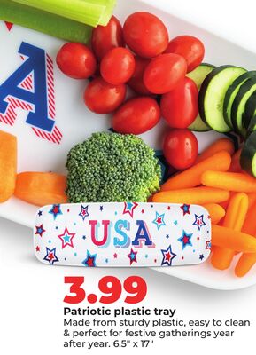 Patriotic plastic tray