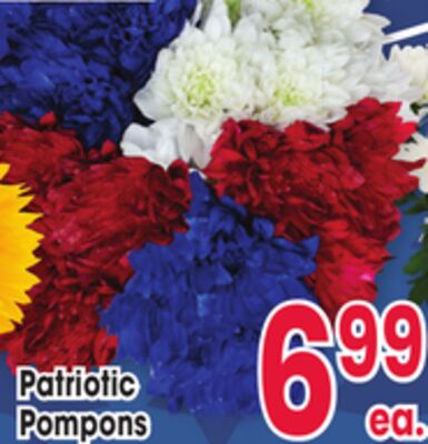 Patriotic Pompons