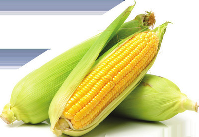 Sweet Corn or Yellow Mangos