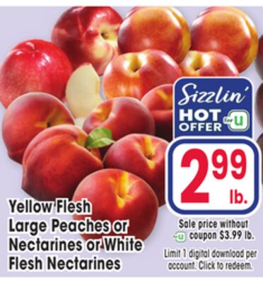 Yellow Flesh Large Peaches or Nectarines or White Flesh Nectarines