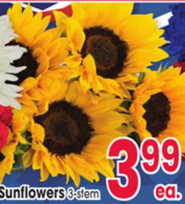 Sunflowers