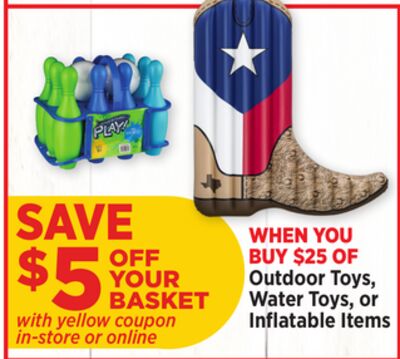 Outdoor Toys, Water Toys, or Inflatable Items