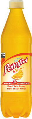 Peñafiel Mineral Waters