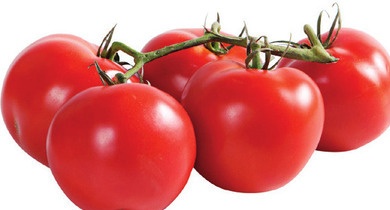 Red Vine Cluster Tomatoes