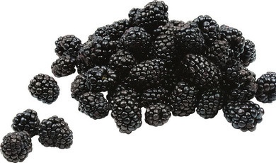 Blackberries